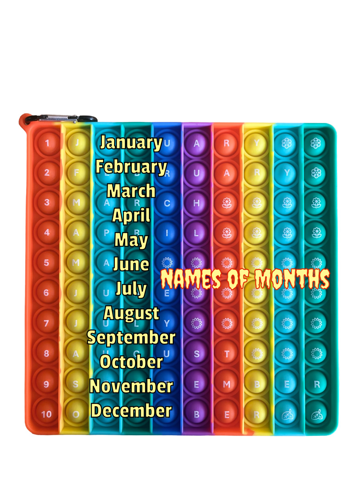 Ranzah Learning Of Week Days And Months ,Educational Push Pop Fidget Toy Sensory Poppet Toy For Kids Rainbow Special Needs Silicone Stress Reliever Fidget Toy (Days & Months)